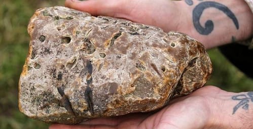 How to Identify Ambergris – Smell, Look, Texture and more!