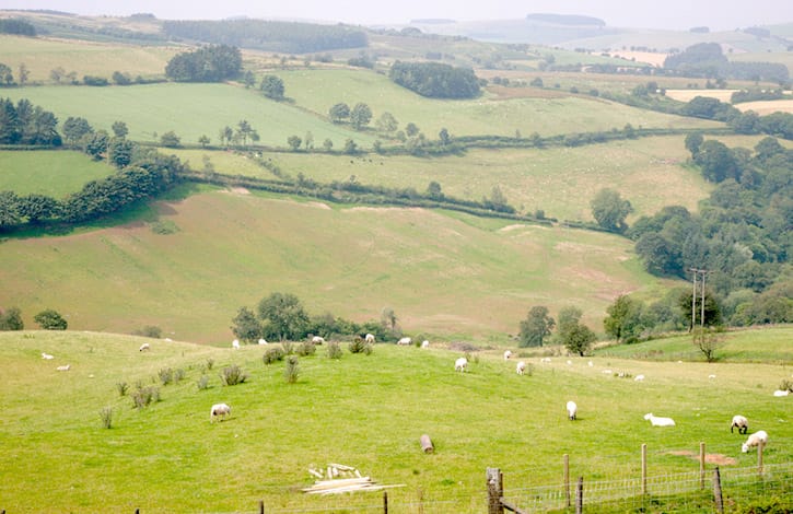 What is Common Land And Can I Metal Detect On It?