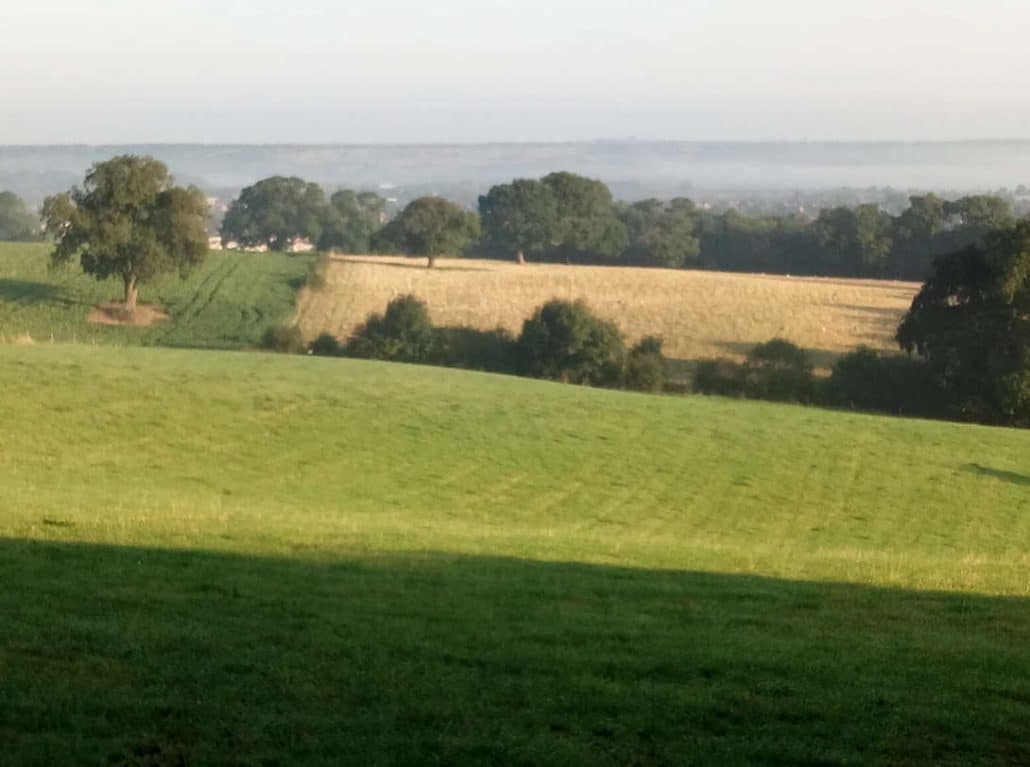 Can You Metal Detect On Council Owned Land In The UK