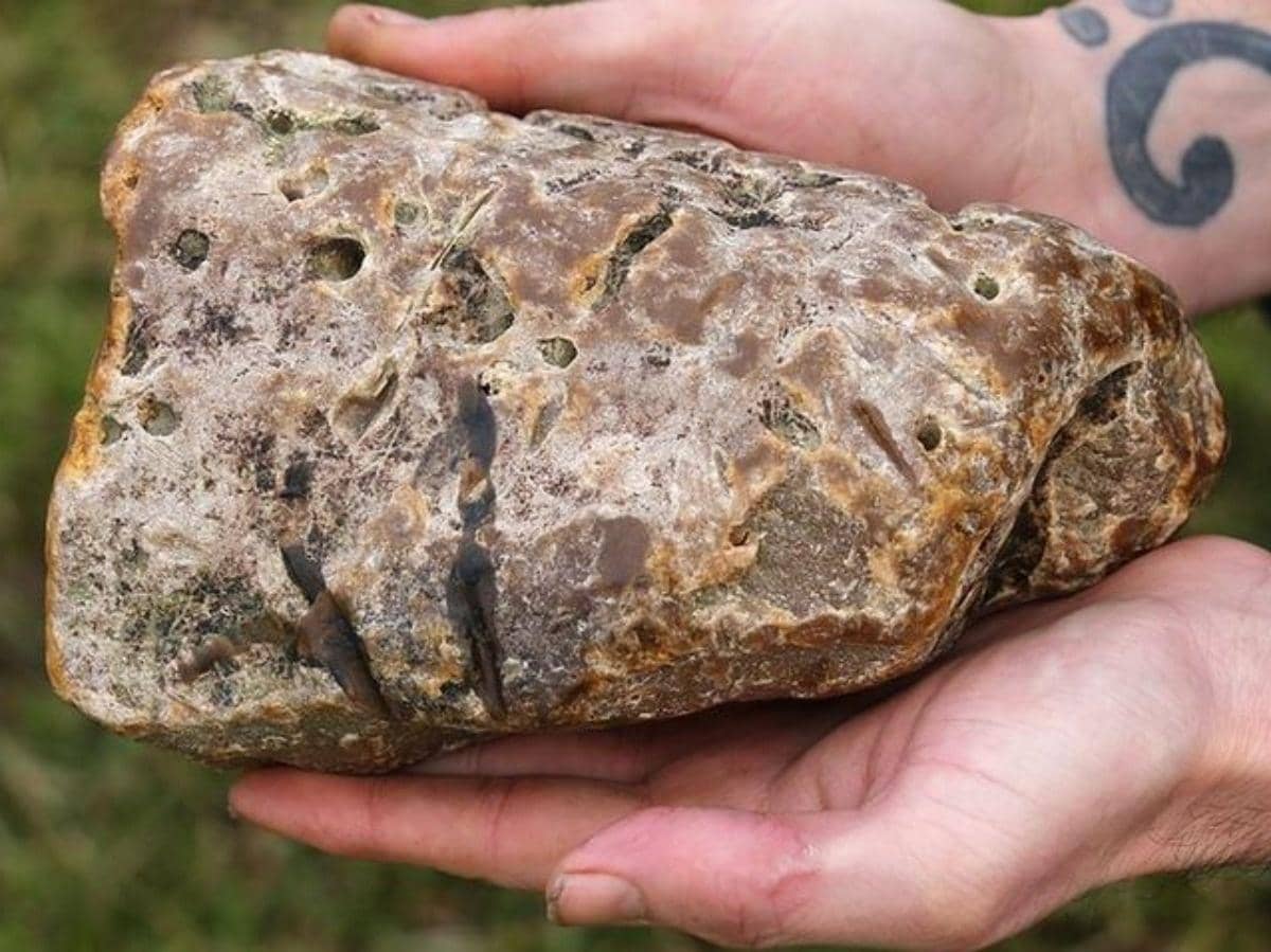 Ambergris Needle Test
