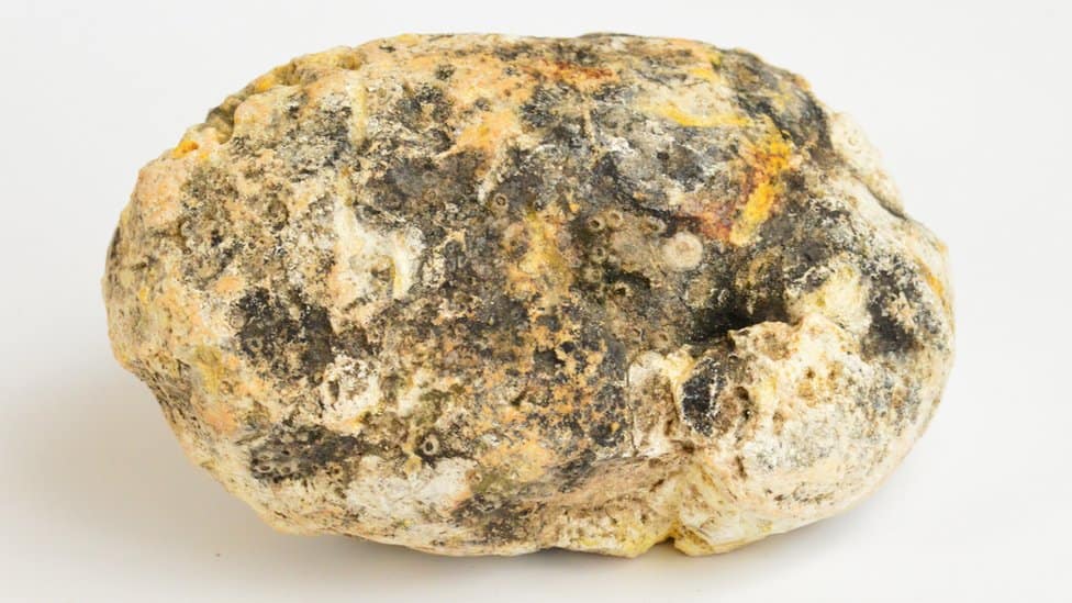 Ambergris Test