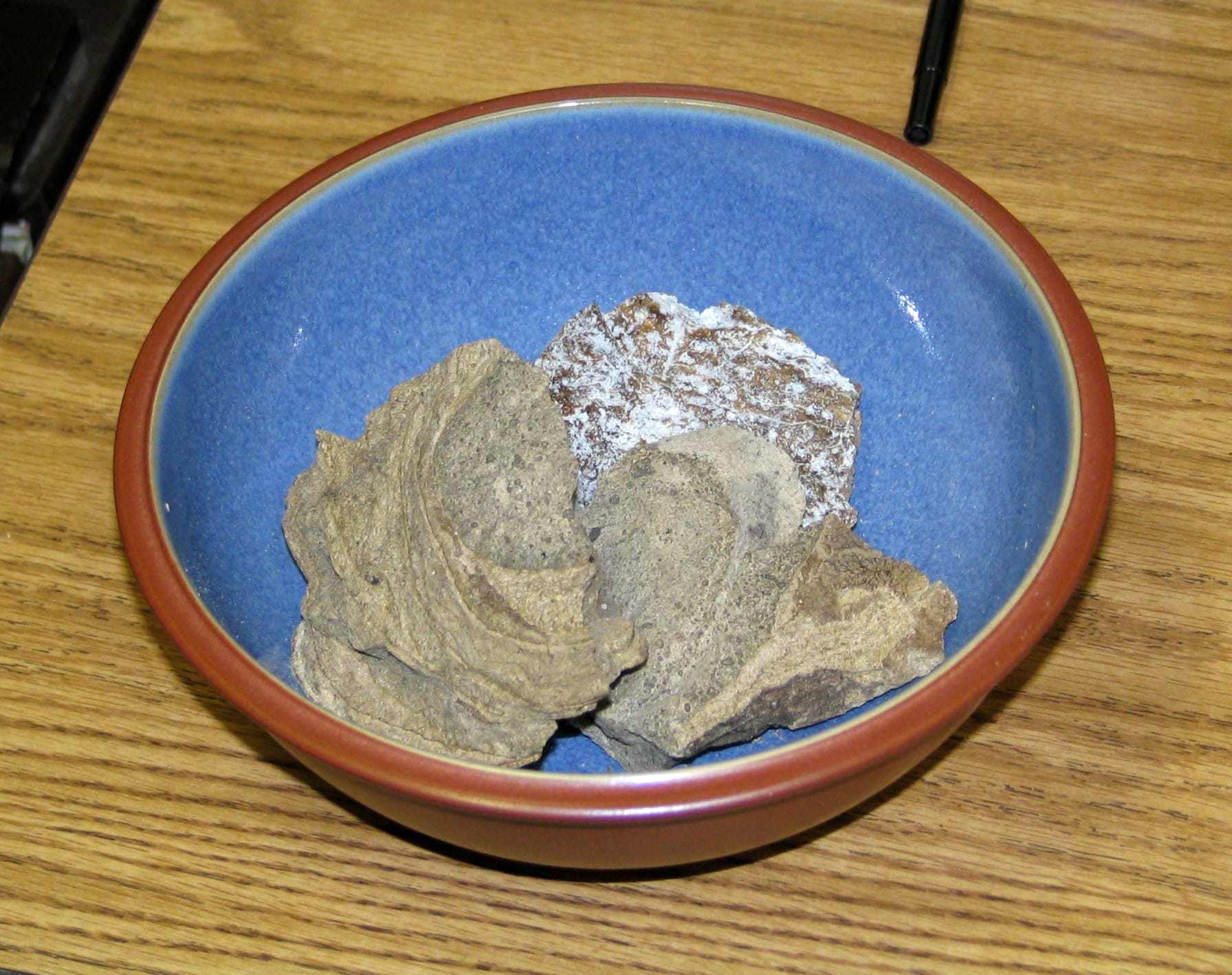 What Does Ambergris Look Like 3